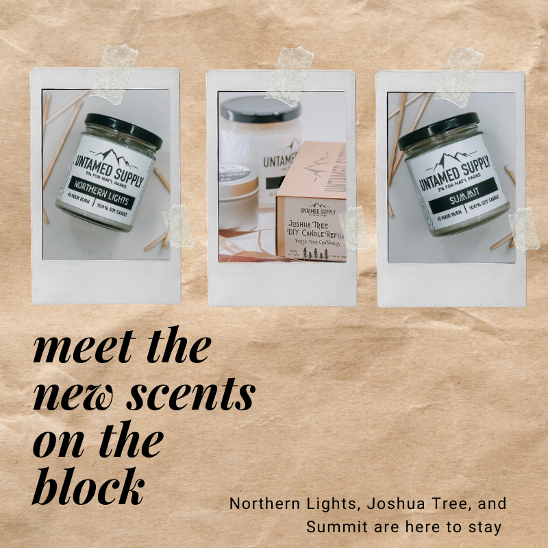 Meet Our Newest Scents