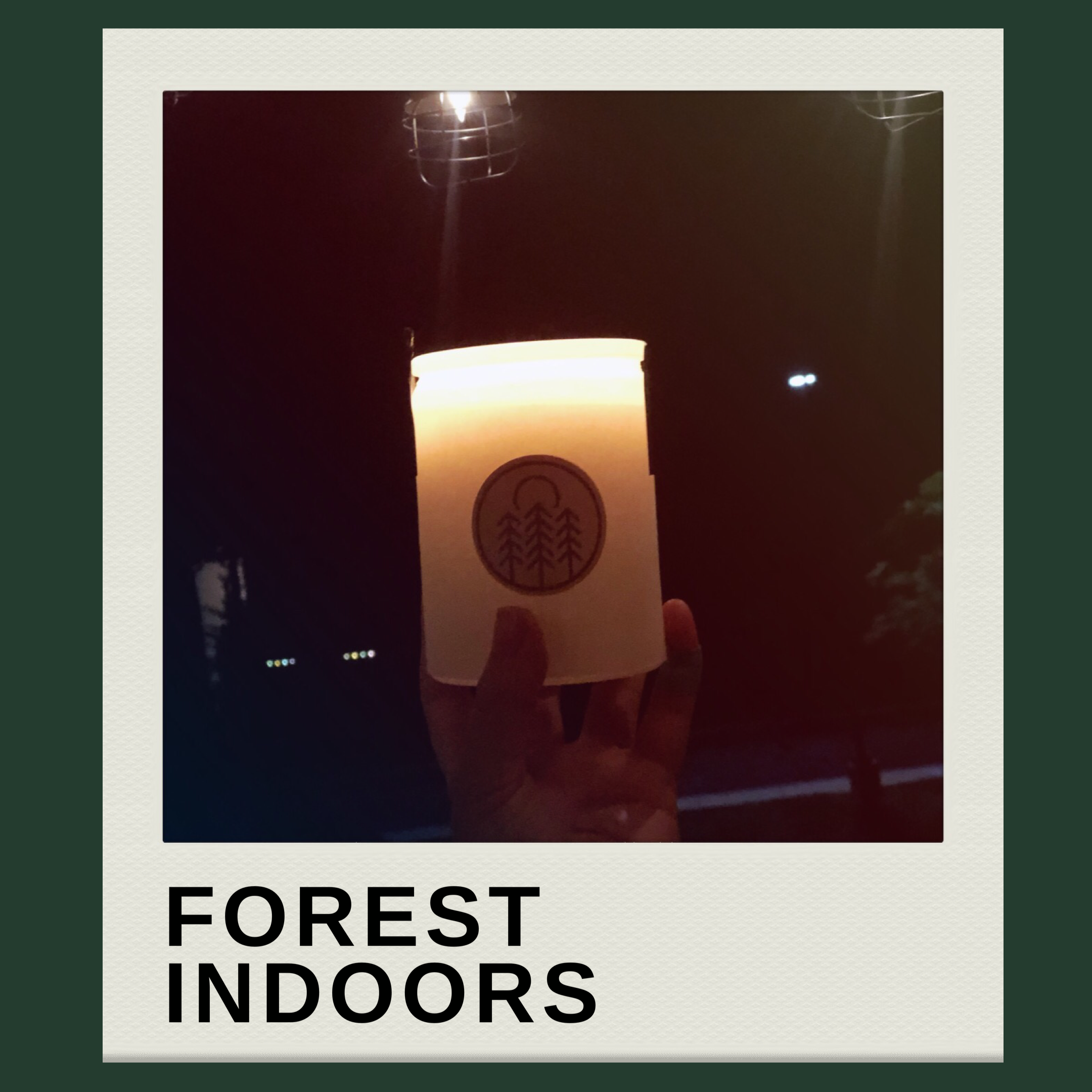 Forest for the Indoors