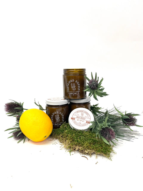 Wild Thistle